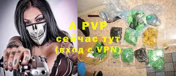 спиды Бронницы