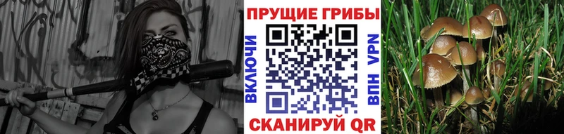 Галлюциногенные грибы мухоморы  Купить  Горячий Ключ 
